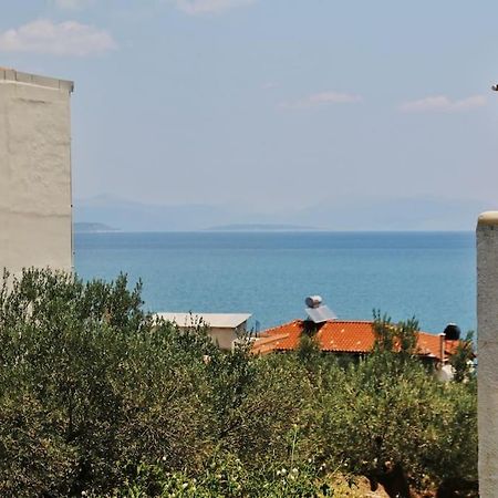 קסירופיגאדו Selfcatering -Studio Helen No 7 מראה חיצוני תמונה
