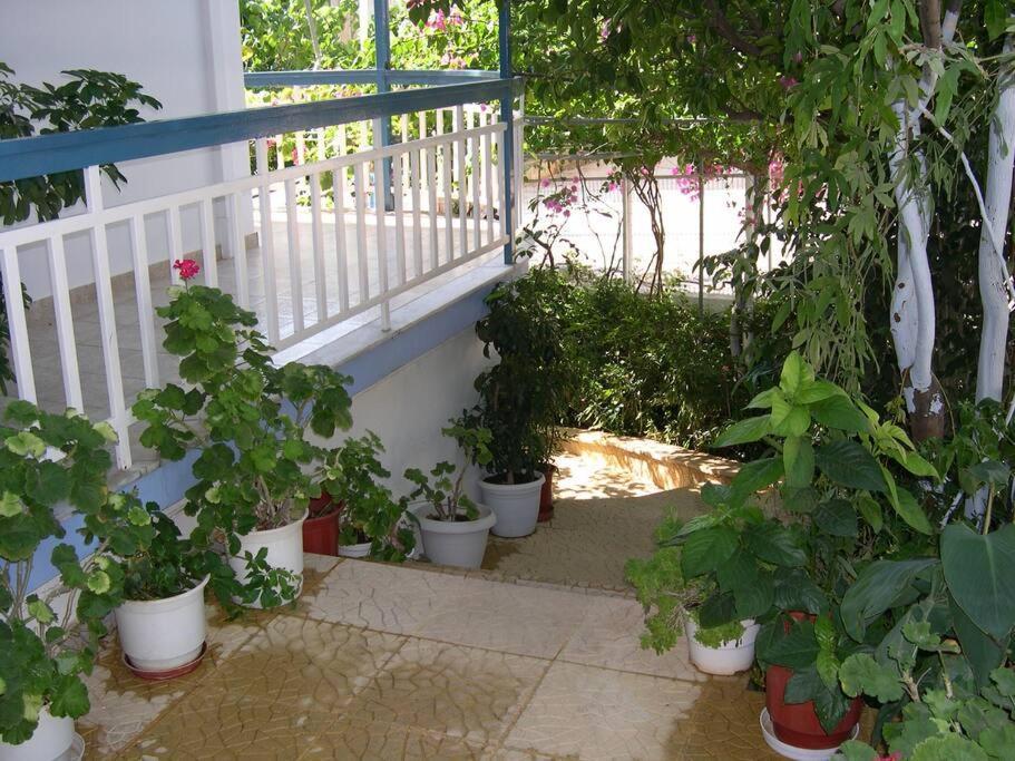 קסירופיגאדו Selfcatering -Studio Helen No 7 מראה חיצוני תמונה
