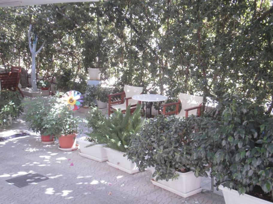 קסירופיגאדו Selfcatering -Studio Helen No 7 מראה חיצוני תמונה